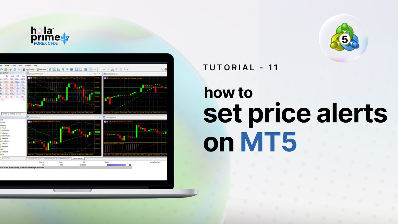Setting Price Alerts in MetaTrader 5 | A Simple Guide
