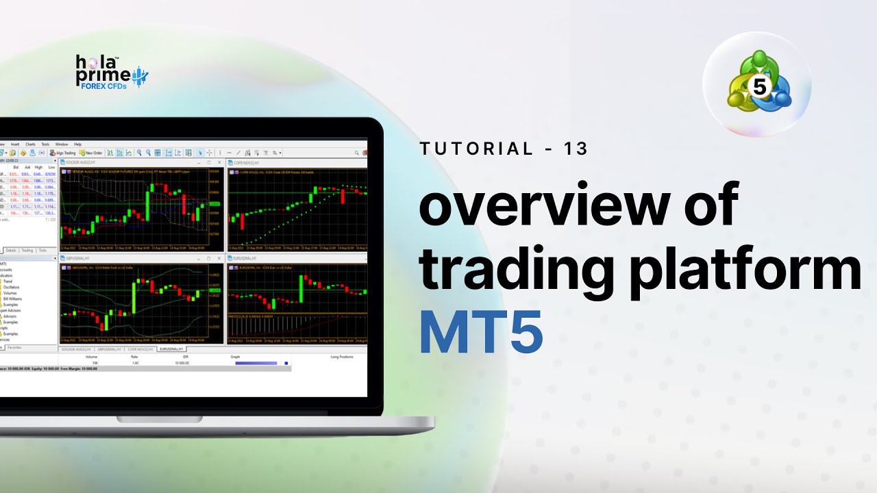 MetaTrader 5 (MT5) Platform Overview | A Simple Guide