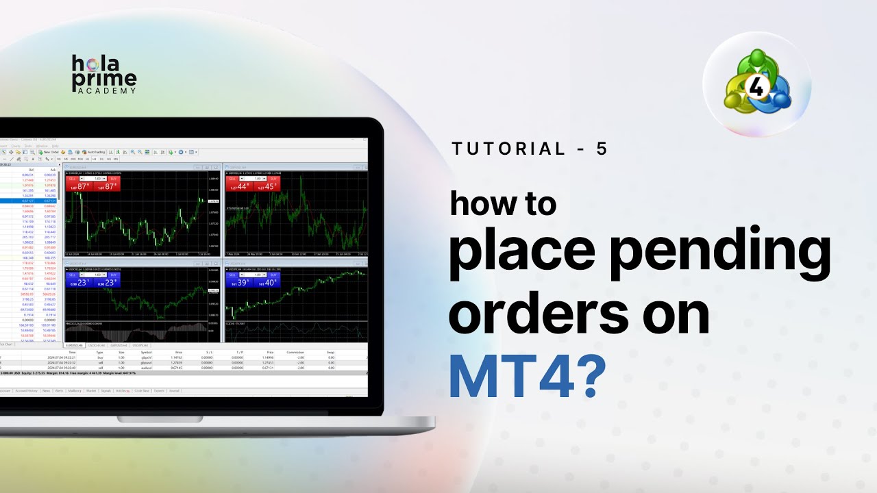 How to Navigate the Market Watch on MT4 | Hola Prime